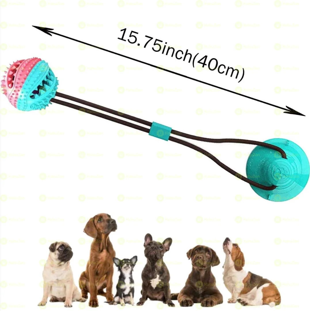 Dog Chew Toy