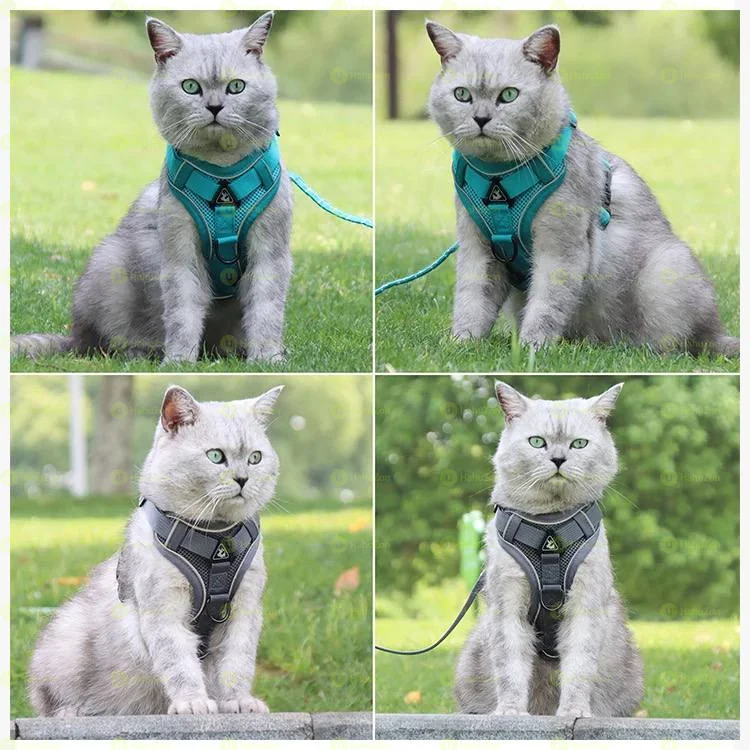 Small Pets Comfortable Paddded Harness