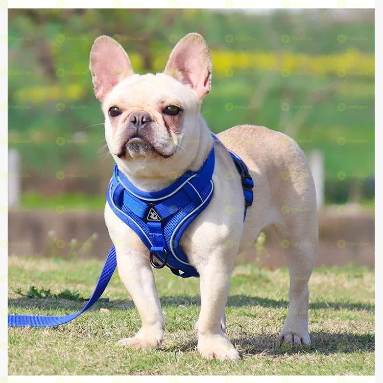 Small Pets Comfortable Paddded Harness