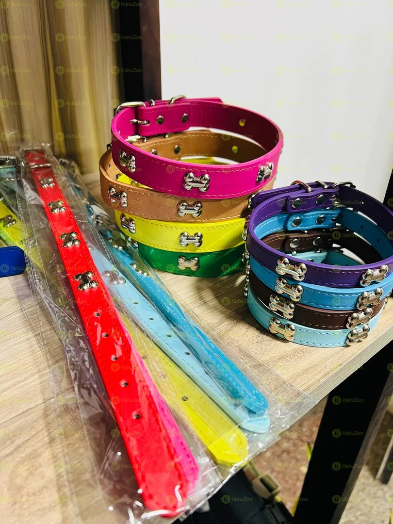 Cute Dog and Cat Collar