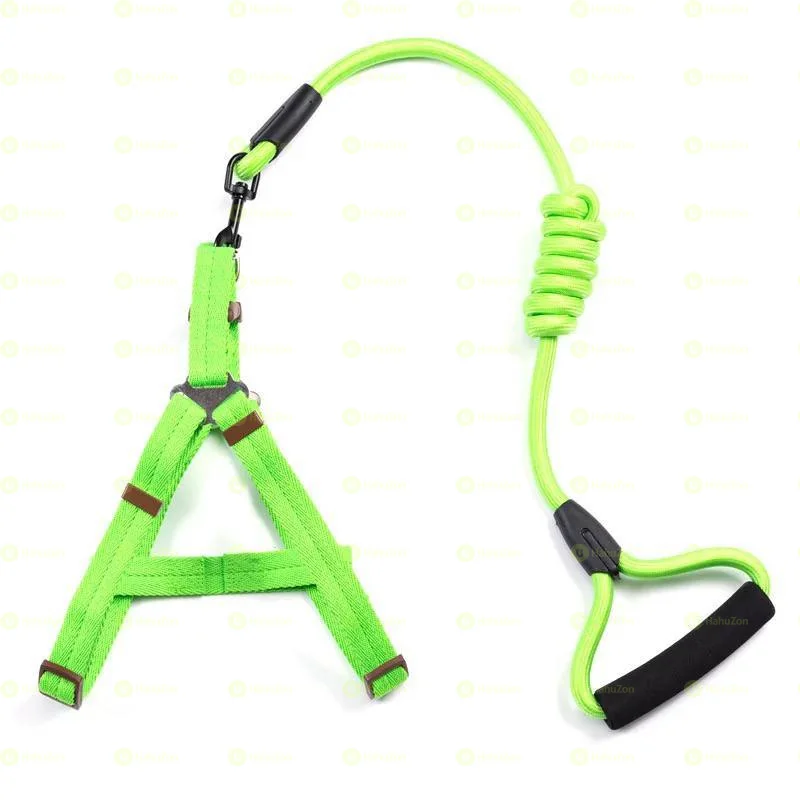 Harness and Leash