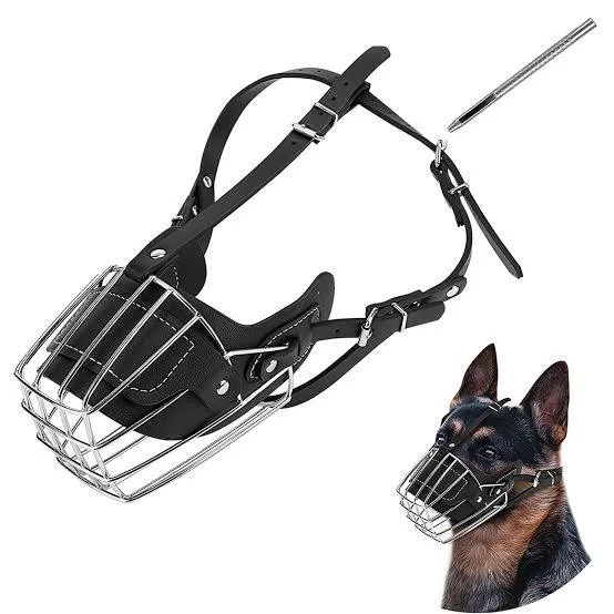 Dogs Muzzle