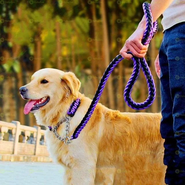 Super Strong Leash and Collar