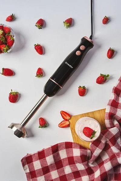 Silver Love 5 IN 1 HanD Blender