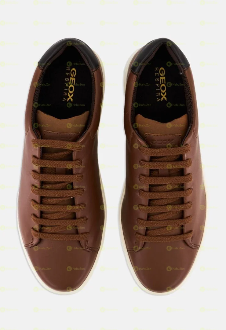 Geox Men'[s Shoes