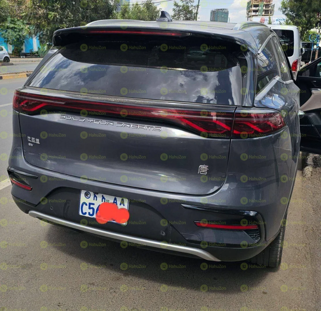 2024 Model-BYD Tang EV