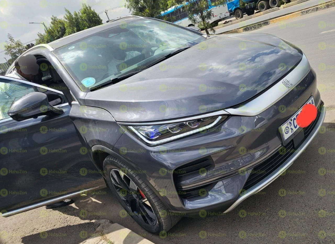 2024 Model-BYD Tang EV