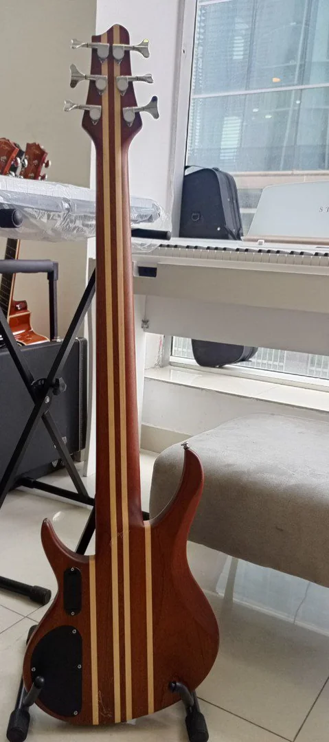 Singer Bass Guitar