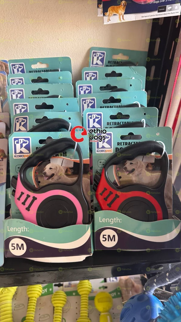 Dog Leash