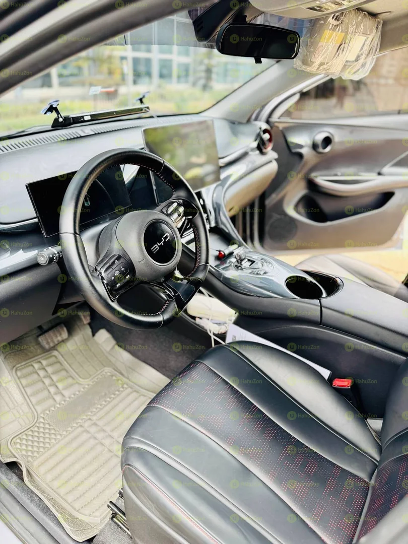 2024 Model-BYD e2