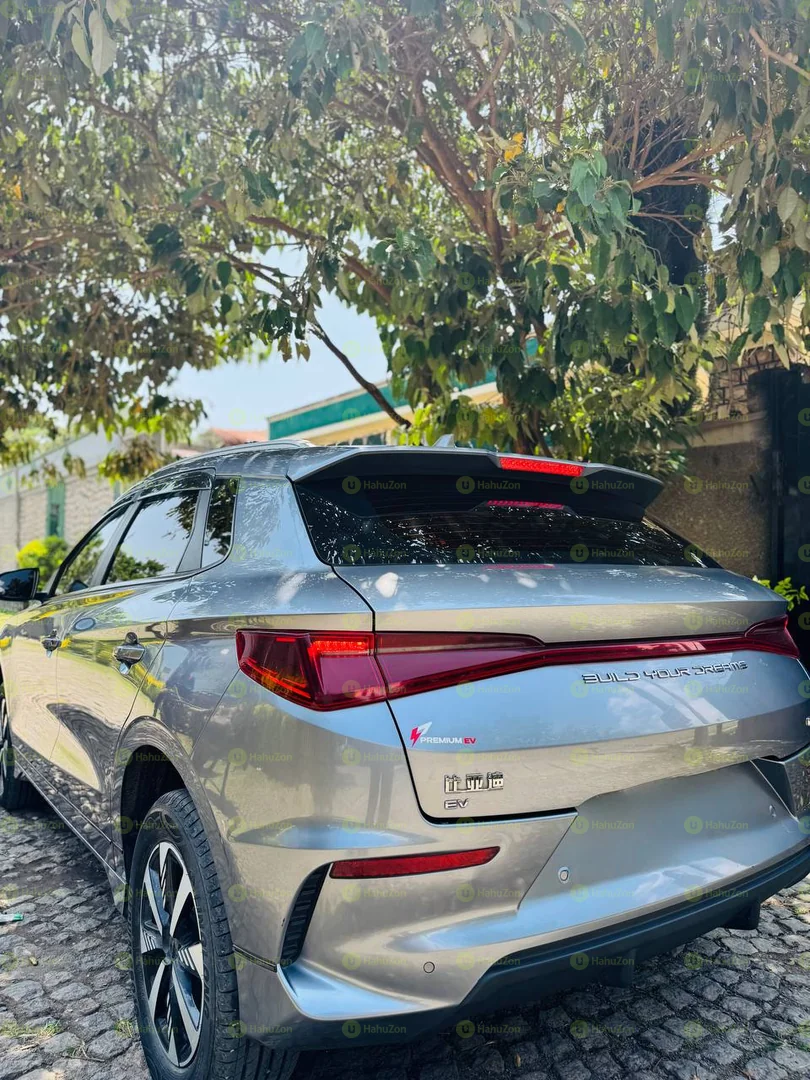 2024 Model-BYD e2
