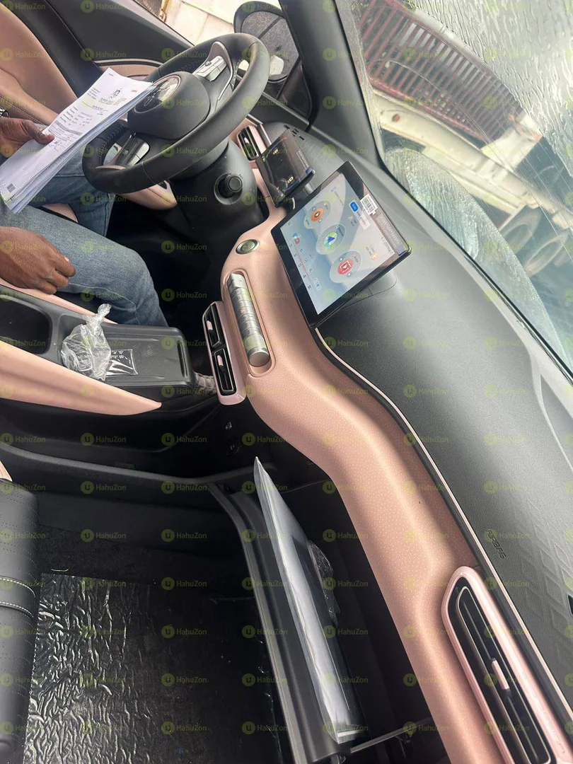 2024 Model-BYD Seagull