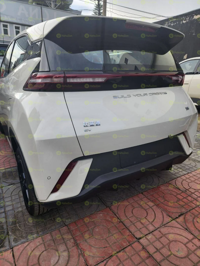 2024 Model-BYD Seagull