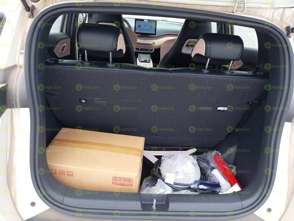 2024 Model-BYD Seagull