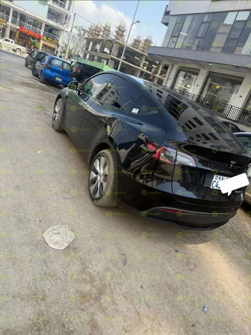 2023 Model-Tesla Y
