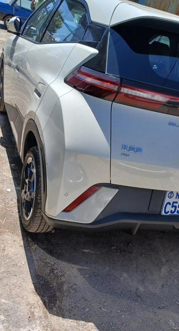 2024 Model-BYD Seagull