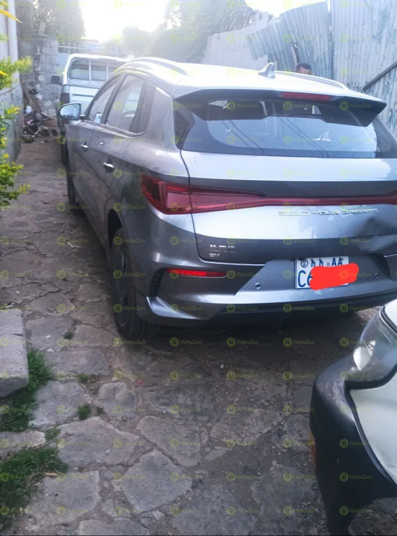 2024 Model-BYD E2