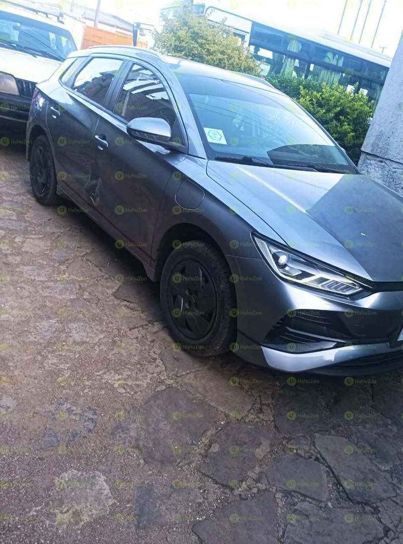 2024 Model-BYD E2