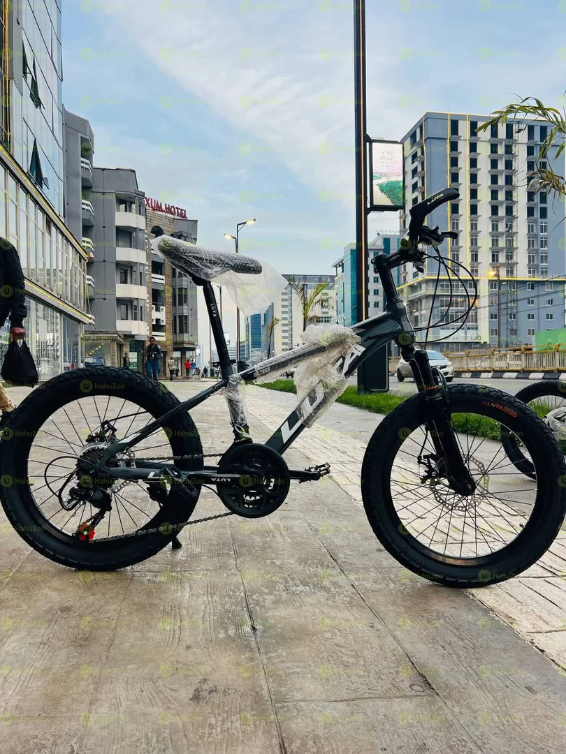 Luta 20 Inch Bicycle