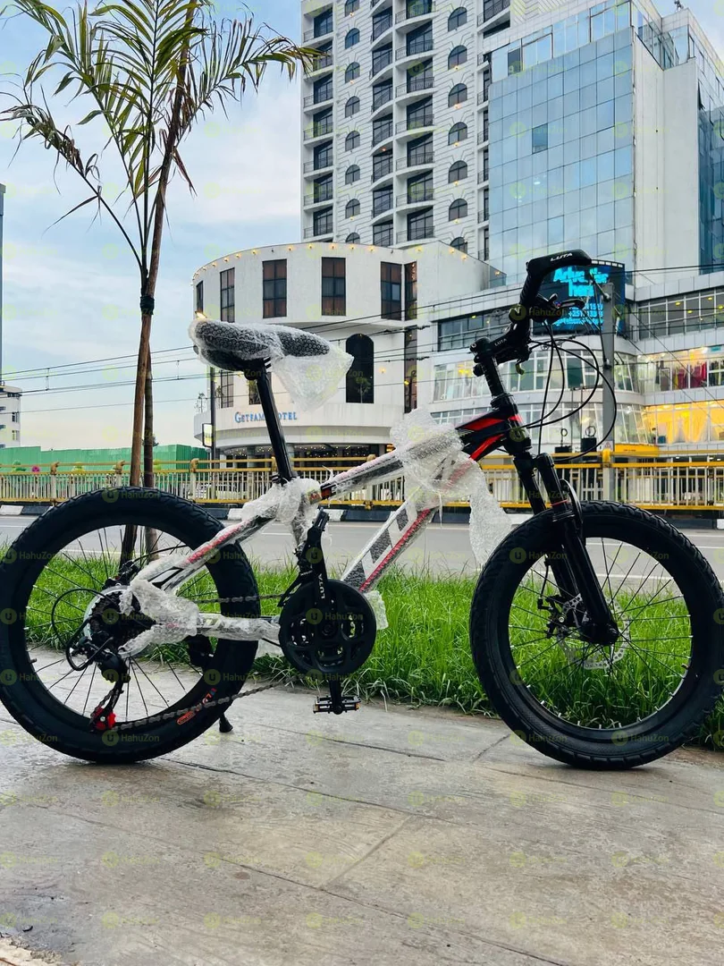 Luta 20 Inch Bicycle