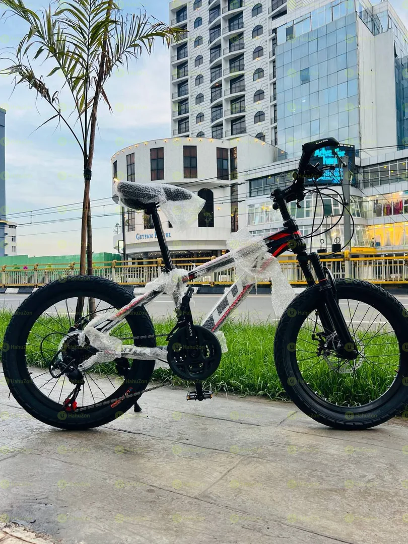 Luta 20 Inch Bicycle