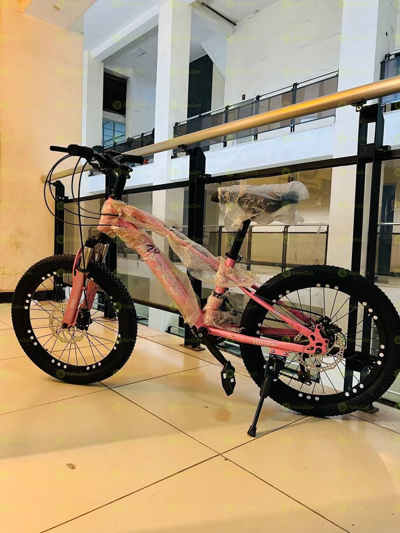 20 Inch Mittes Bicycle