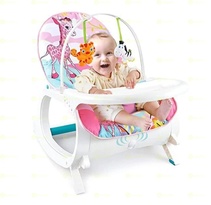 5 In 1 Newborn To Toddler Rocker