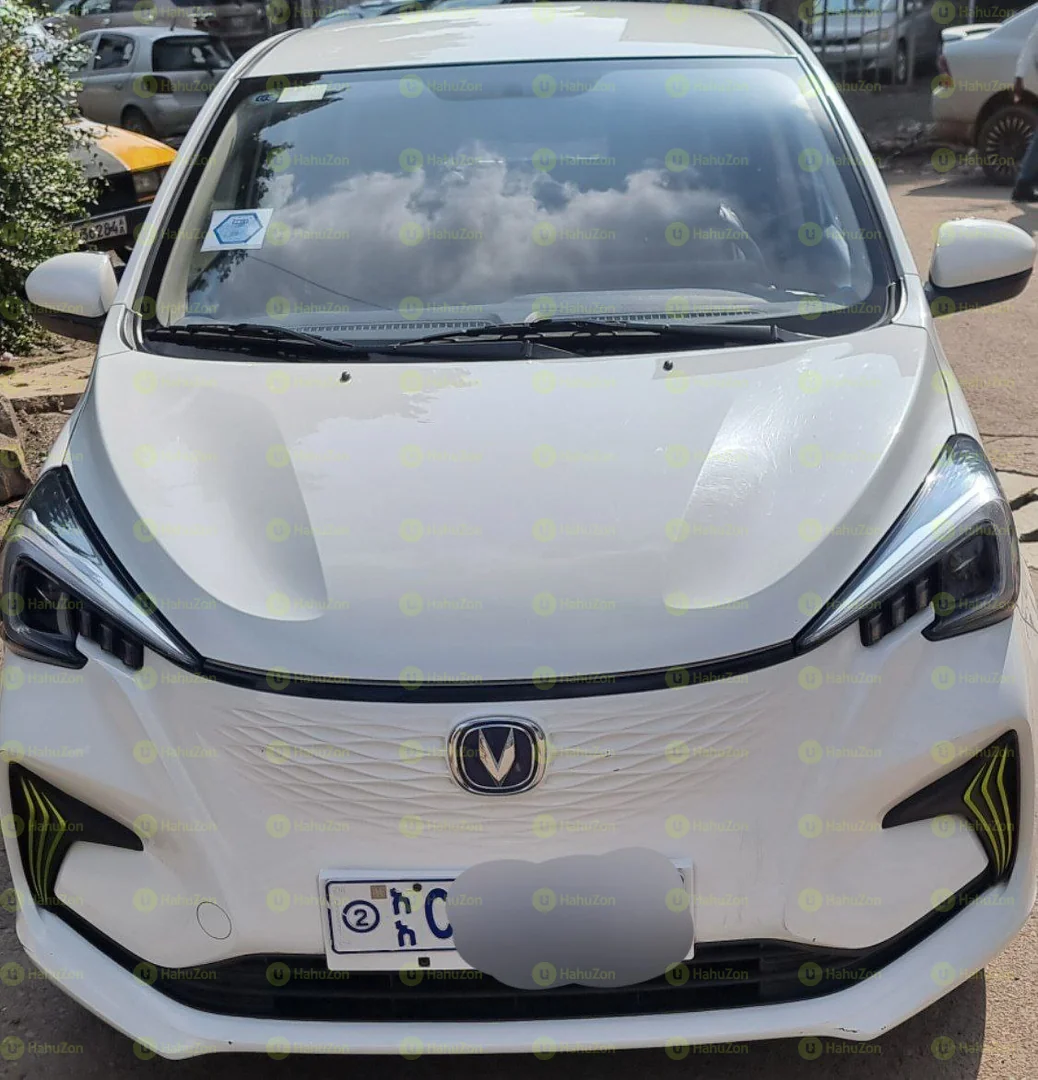 2023 Model-Changan E-Star