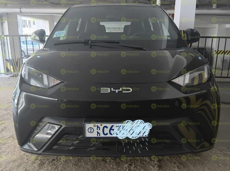 2024 Model-BYD Seagull
