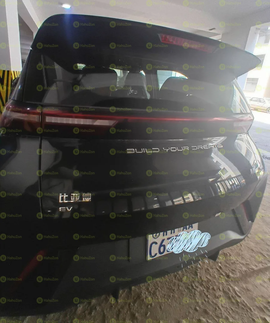 2024 Model-BYD Seagull