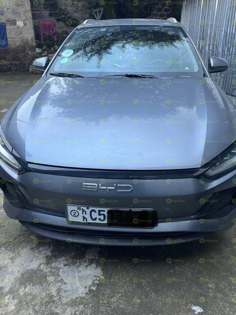 2024 Model-BYD e2