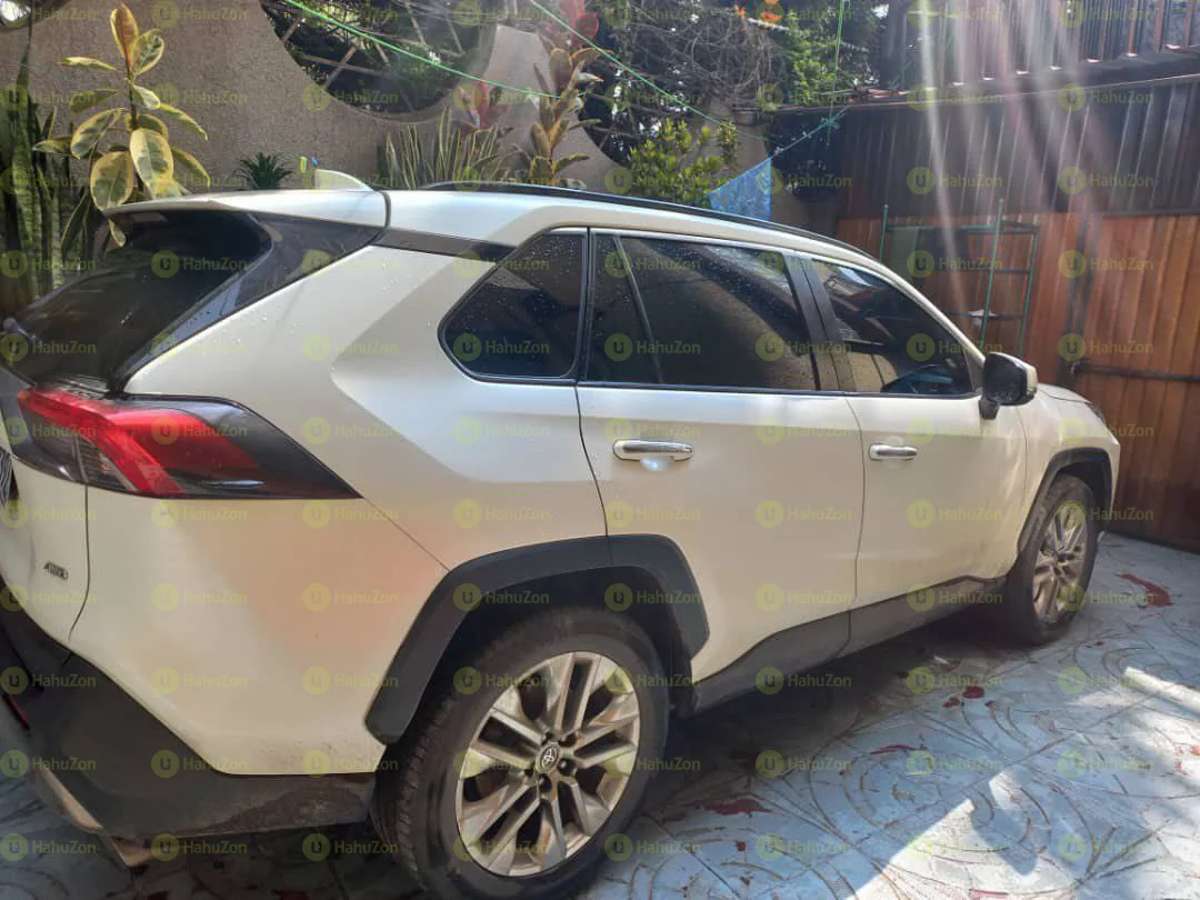 2020 Model-Toyota Rav4