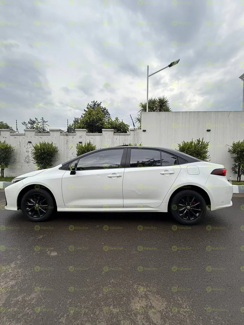 2022 Model-Toyota Corolla D4-T Levin