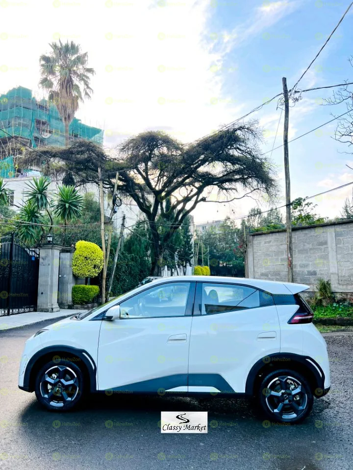 2024 Model-BYD Seagull