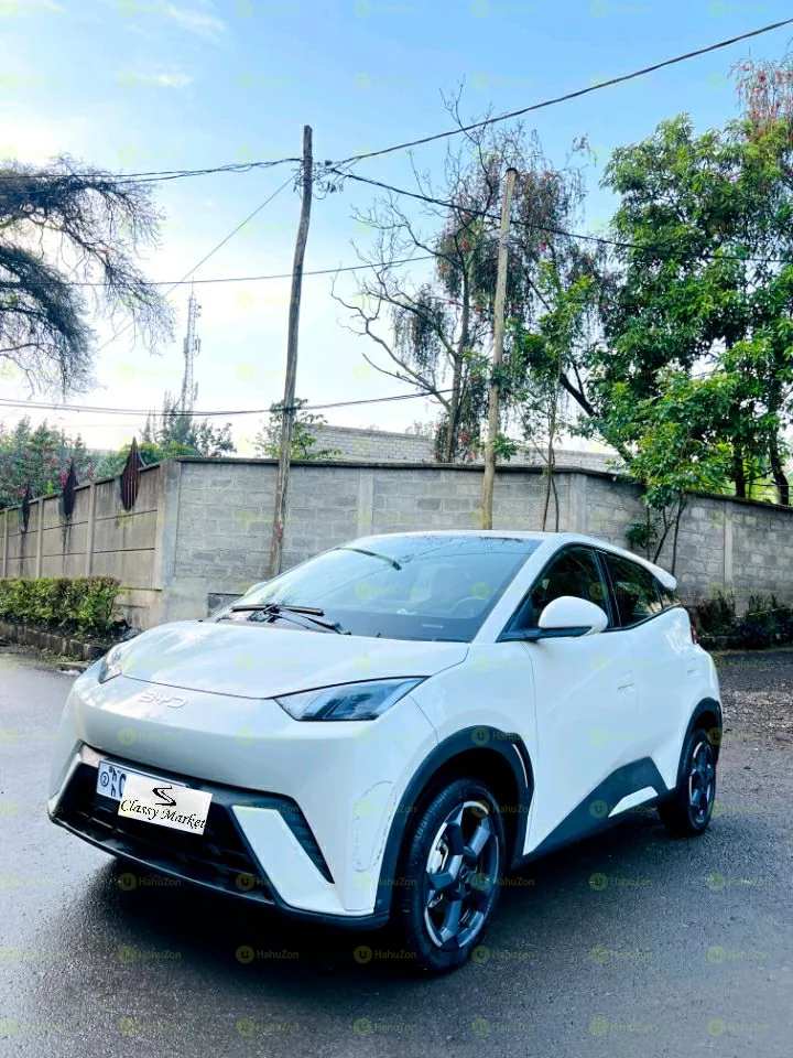 2024 Model-BYD Seagull