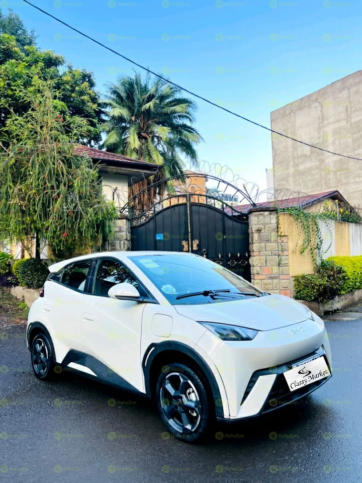 2024 Model-BYD Seagull