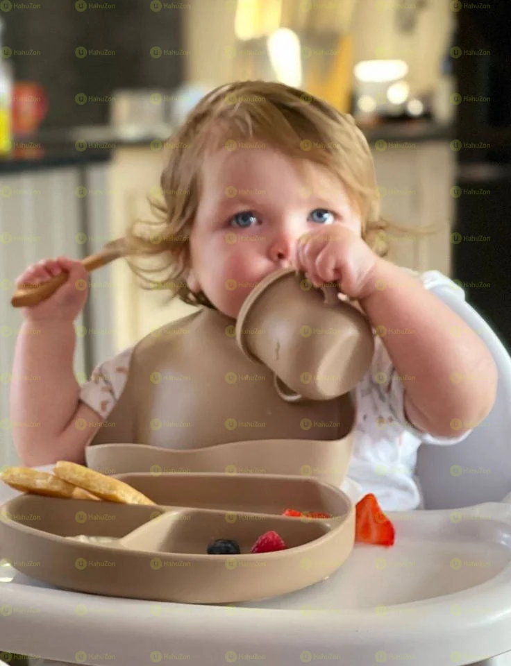 6 እቃዎች የያዘ መመገቢያ ሰሀን