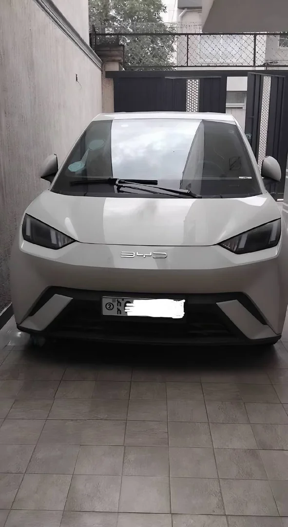 2024 Model-BYD Seagull