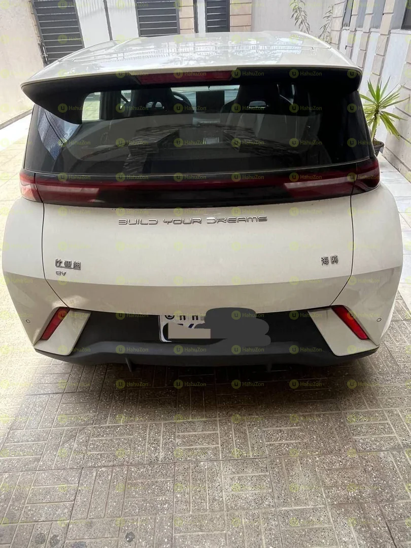 2024 Model-BYD Seagull