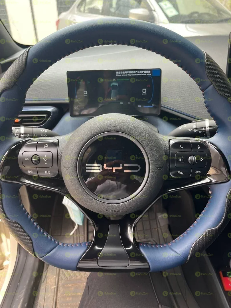 2024 Model-BYD Seagull