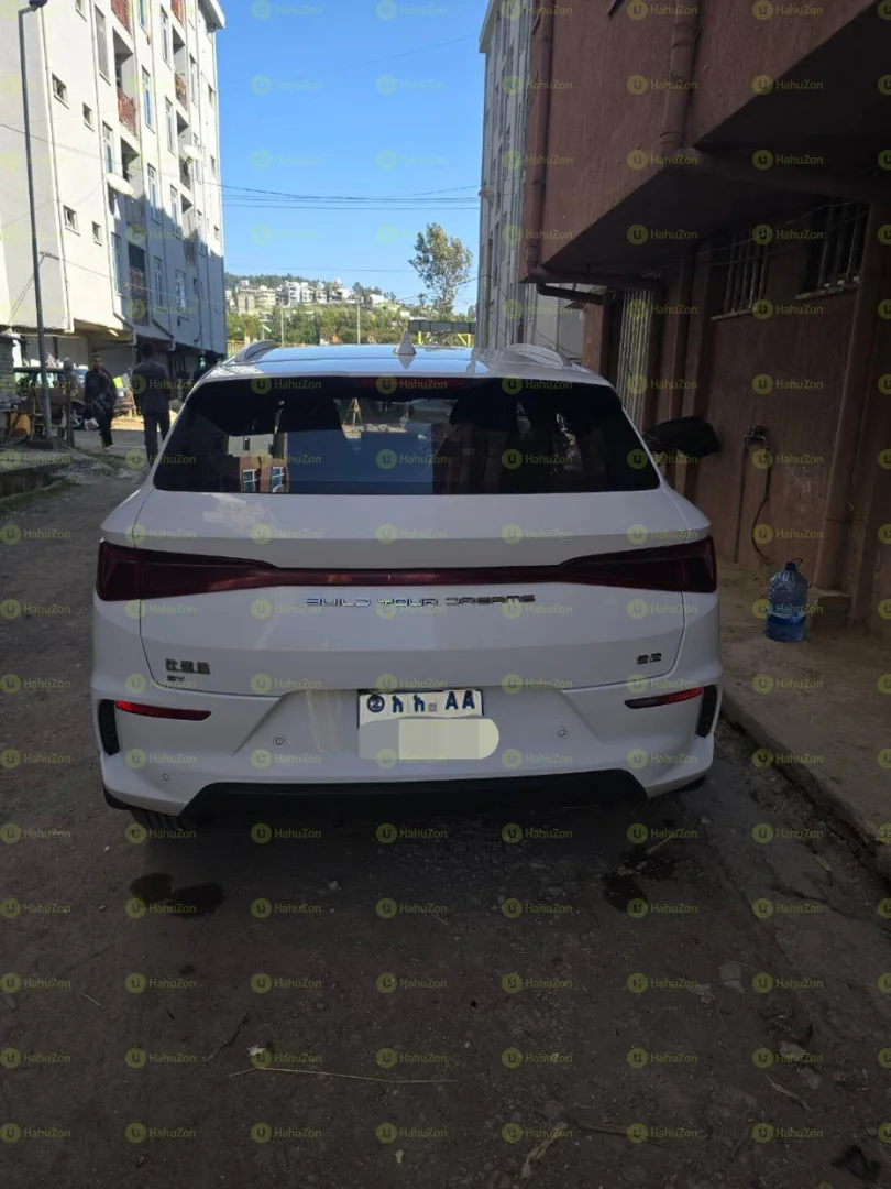 2024 Model-BYD E2