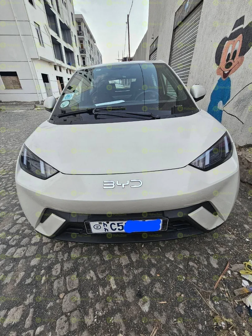 2024 Model-BYD Seagull