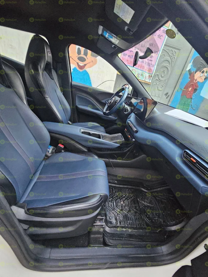 2024 Model-BYD Seagull