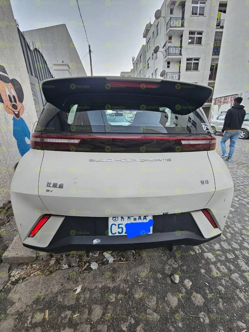 2024 Model-BYD Seagull