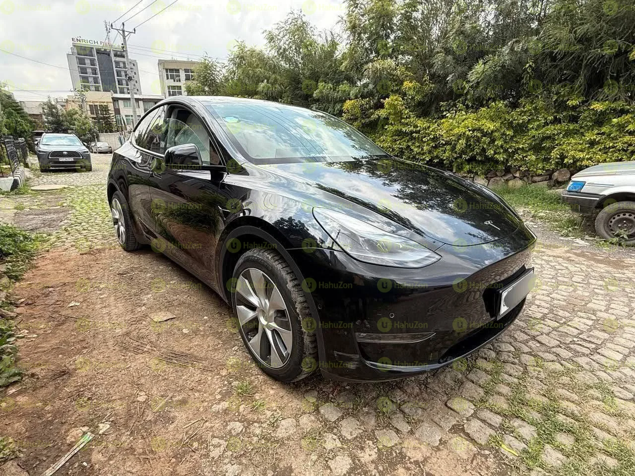 2023 Model-Tesla Y