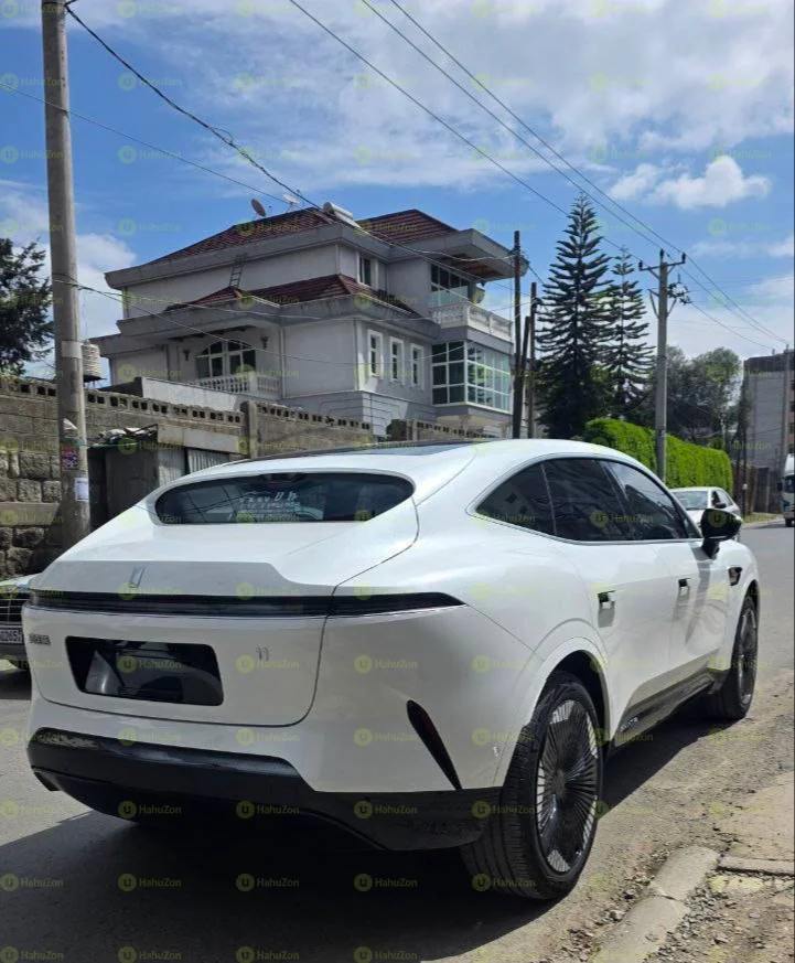 2024 Model-Avatar 11 EV