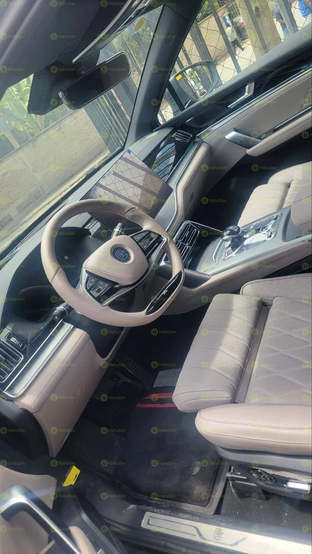 2024 Model-BYD Tang EV