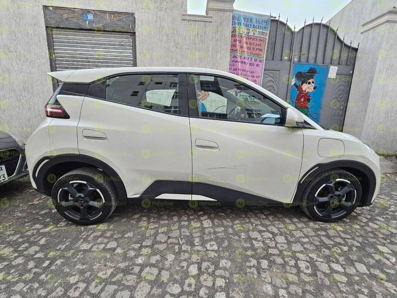 2024 Model-BYD Seagull