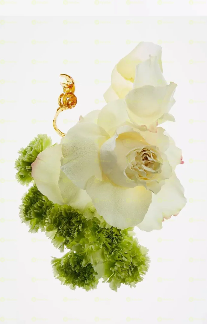 Zara Rose Gourmand Eau De Perfum