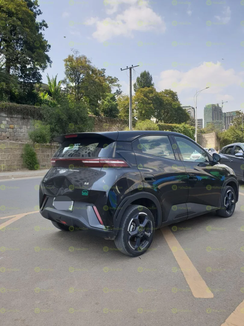 2024 Model-BYD Seagull